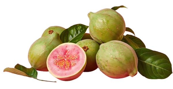 guava
