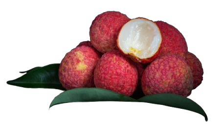 litchi